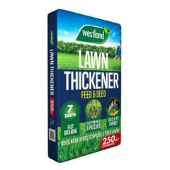 Westland Horticulture Lawn Thickener Westland Lawn Thickener 250m² Bag