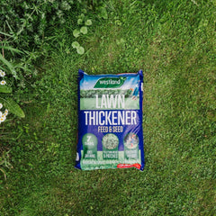 Westland Horticulture Lawn Thickener Westland Lawn Thickener 250m² Bag