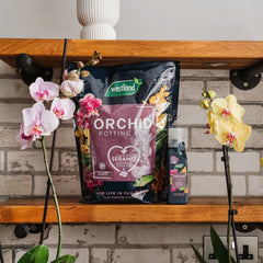 Westland Horticulture Orchid Potting Mix Westland Orchid Potting Mix 4L