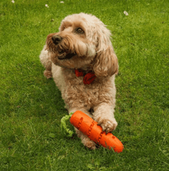 Zoon Dog Toys Zoon Carrot Treat Dispenser Dog Toy