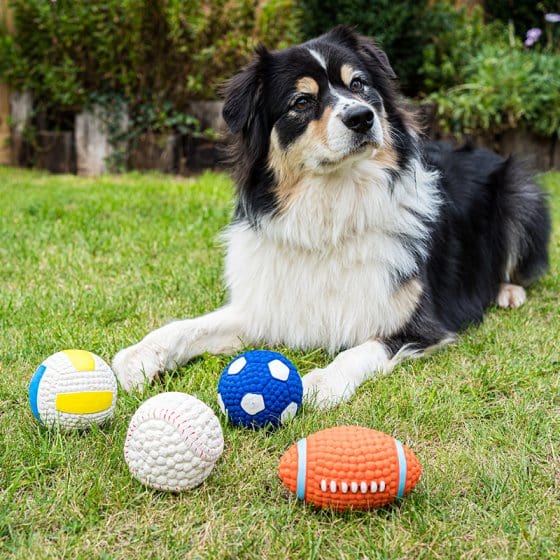 Zoon Dog Toys Zoon Squeaky Latex Pooch Ball - Orange, Large