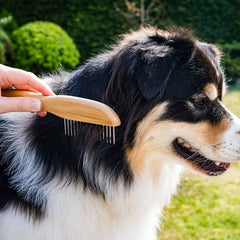 Zoon Pet Accessories Zoon Wide Tooth Rotating Comb (no sku)