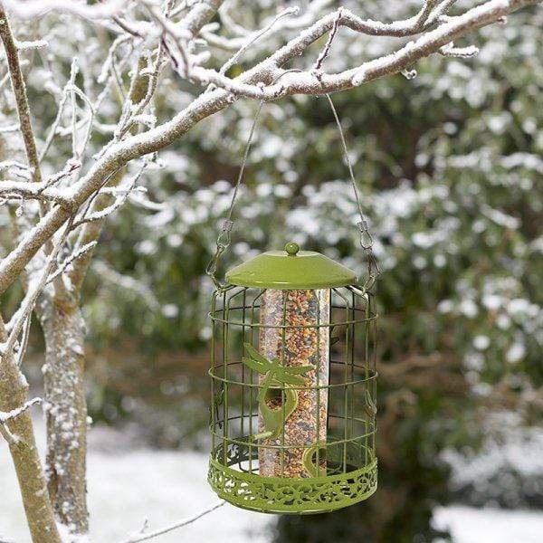 Chapelwood Decor Squirrel Proof Seed Feeder Trowell Garden Centre