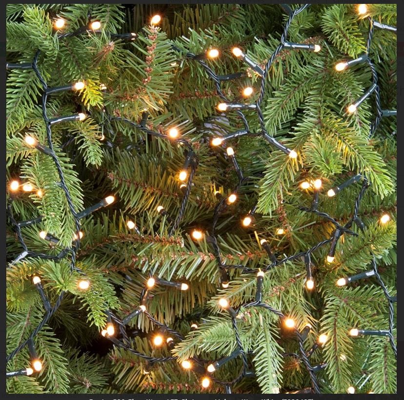 Festive Warm White Glow Worm Lights 200L B/O – Trowell Garden Centre