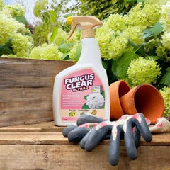 Evergreen Garden Care Fungus Control FungusClear Ultra 2 800ml