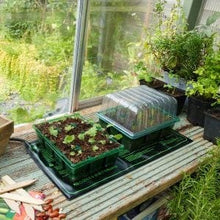 https://www.trowellgardencentre.co.uk/cdn/shop/products/gro-sure-electric-heated-propagation-mat-28821598011447_220x220.jpg?v=1643043174