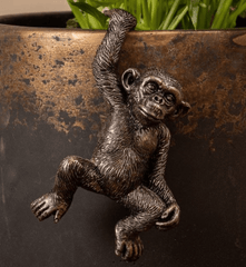 Jardinopia Gift Ware Jardinopia Chimpanzee Pot Buddy Plant Pot Hanger