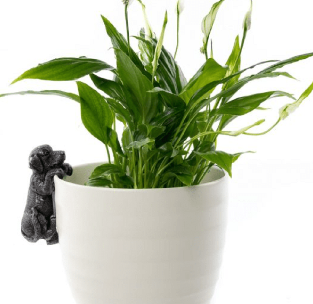 Jardinopia Gift Ware Jardinopia Labrador Plant Pot Hanger