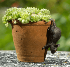 Jardinopia Gift Ware Jardinopia Mouse Pot Buddy Plant Pot Hanger