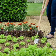 Kent & Stowe Garden Tools Kent & Stowe Long Handled Trowel