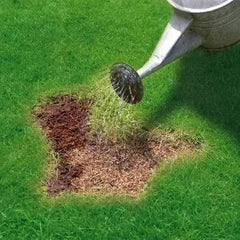 Evergreen Garden Care Lawn Patch Repair Patch Magic, Grass Seed, Feed & Coir