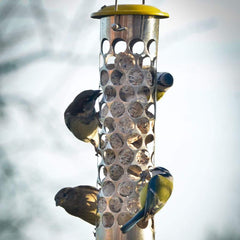 Peckish Fat Balls & Suet Feeders Peckish All Weather Energy Ball Feeder