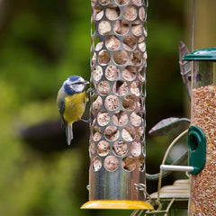 Peckish Fat Balls & Suet Feeders Peckish All Weather Energy Ball Feeder