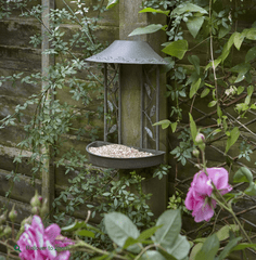 Peckish Bird Tables Peckish Secret Garden Wall Hanging Bird Table