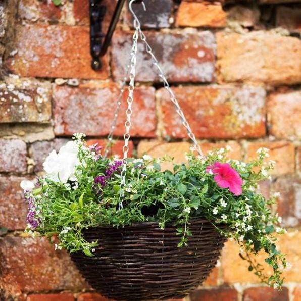 Rattan Hanging Basket – Trowell Garden Centre