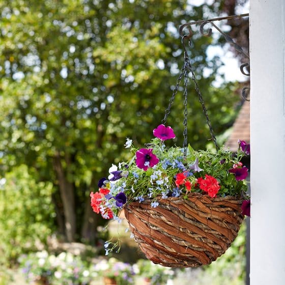 Smart Garden 12in Hanging Basket - Rafiki – Trowell Garden Centre