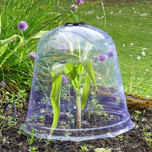 https://www.trowellgardencentre.co.uk/cdn/shop/products/smart-garden-bell-cloche-jumbo-bell-cloche-28930515238967_220x220.jpg?v=1647525349