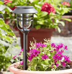 Smart Solar Garden Stake Smart Solar Avant Solar Stake Light 5pc