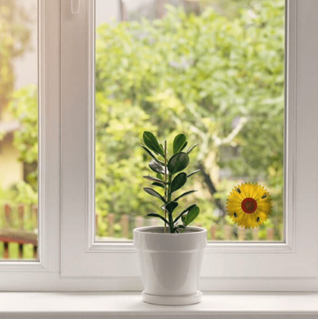 Window Fly Traps Indoor, Sunflower Fly Catcher Window Fly Sticker