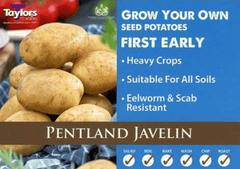 Taylor's Seed Potatoes Taylors Seeded Potatoes 'Pentland Javelin' 2kg