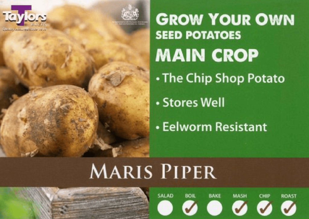 Taylor's Seed Potatoes Taylors Seed Potatoes 'Maris Piper' 2kg