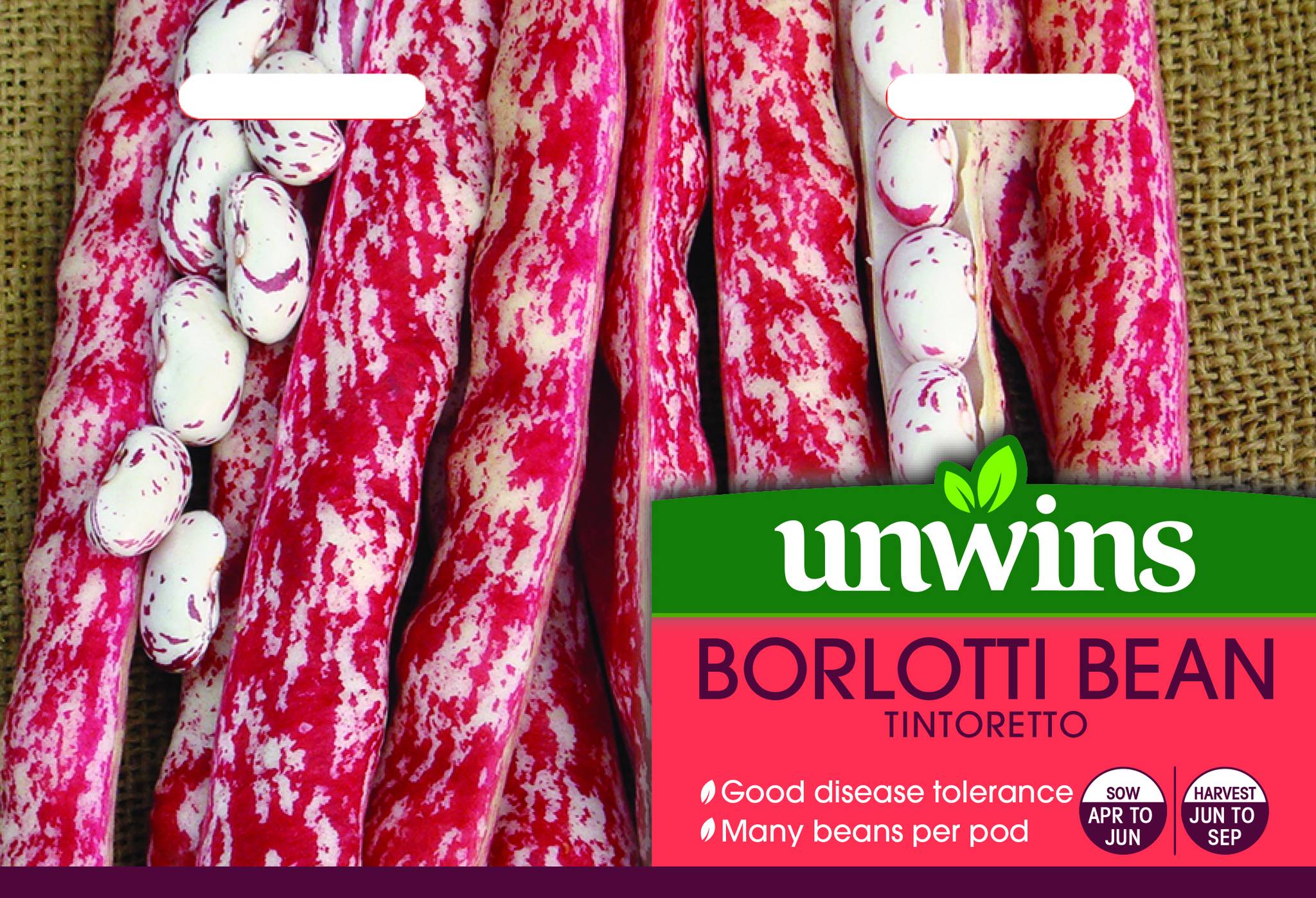 Unwins Vegetable Seeds Unwins Bean Borlotti Tintoretto