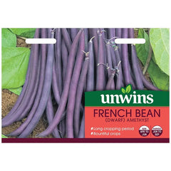 Unwins Vegetable Seeds Unwins Bean French Dwarf Amethyst