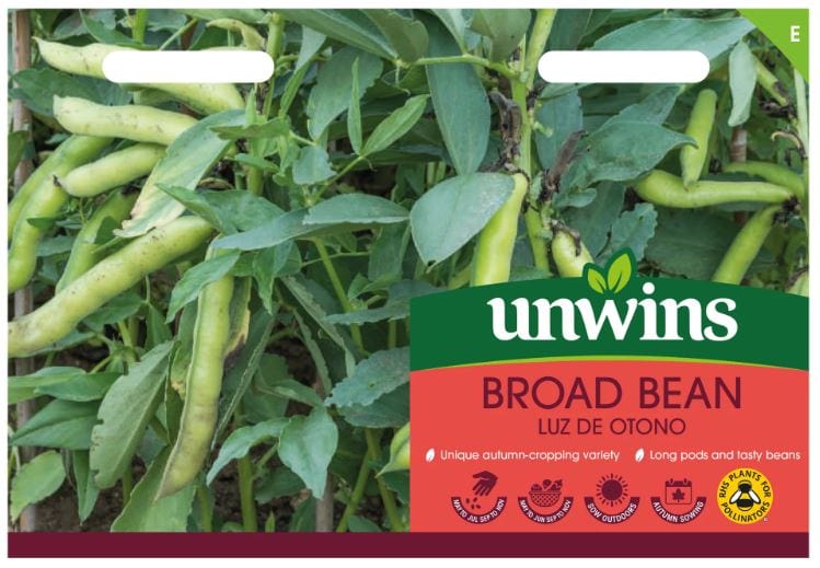 Unwins Vegetable Seeds Unwins Broad Bean Luz De Otono