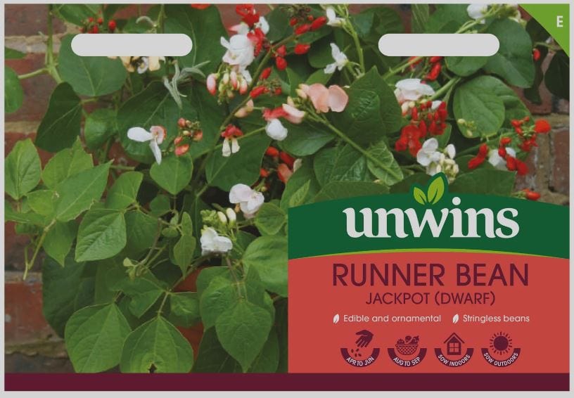 Unwins Vegetable Seeds Unwins Dwarf Runner Bean Jackpot