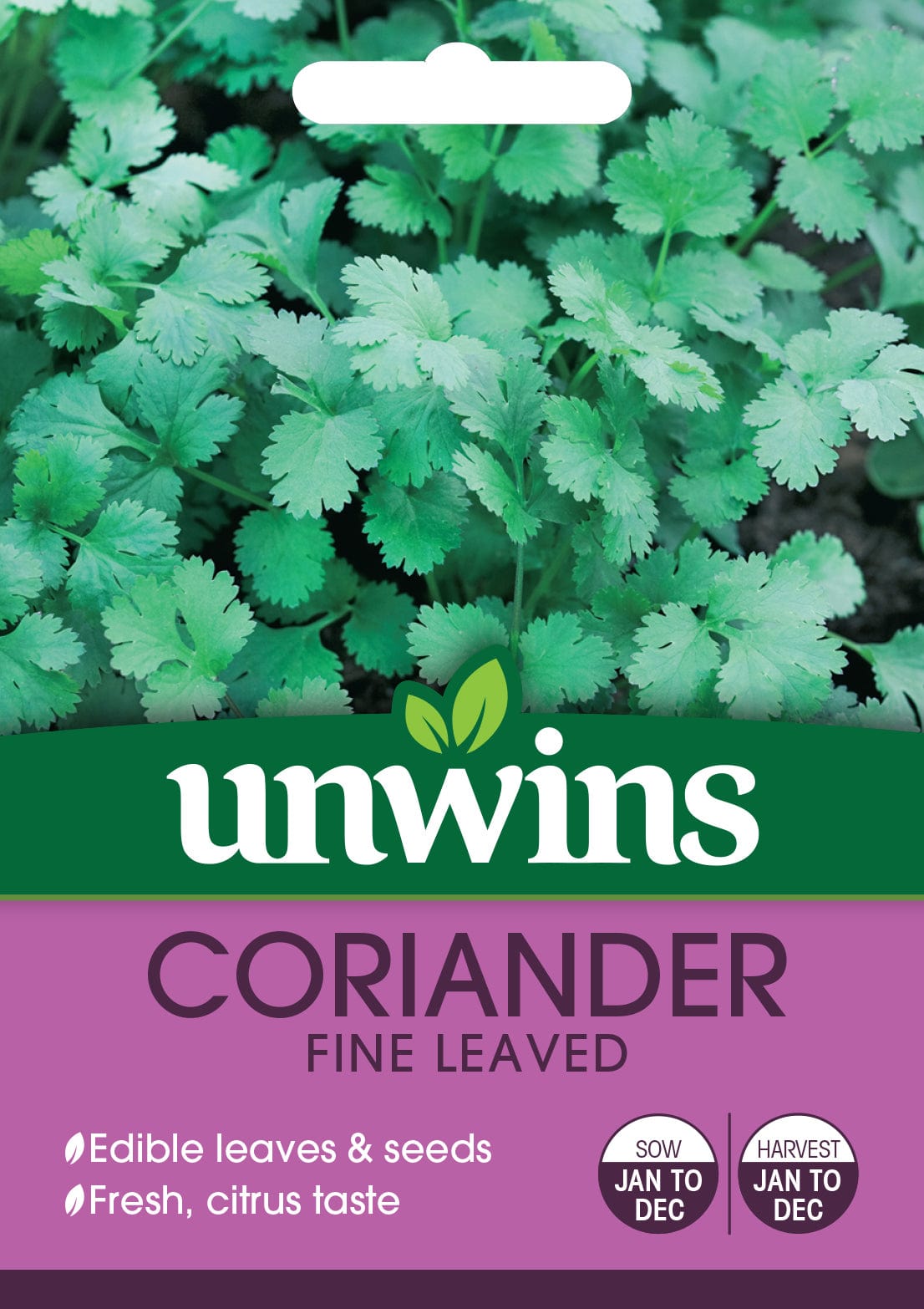 Unwins Vegetable Seeds Unwins Herb Coriander Fine Leaved