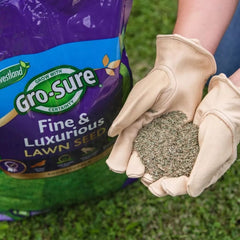 Westland Horticulture Lawn Seed Westland Gro-Sure Fine & Luxurious Lawn Seed 30m2