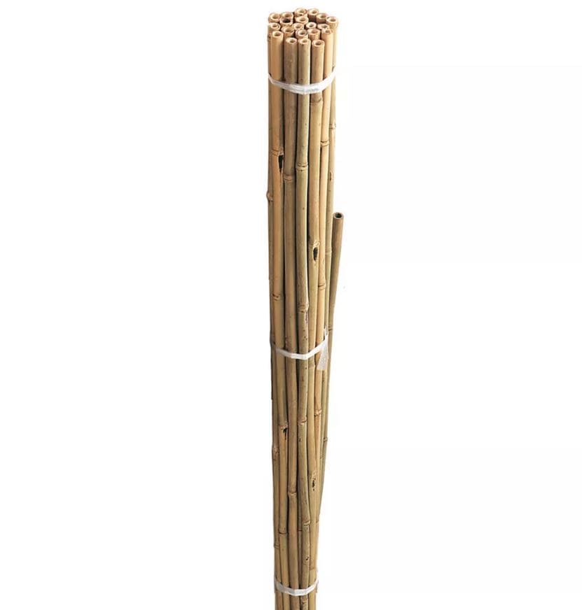 Westland Horticulture plant support Westland Grow it Bamboo Canes Bulk Bundle 90cm pack of 20