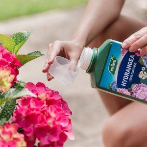 Westland Hydrangea High Performance Liquid Plant Food 1 Litre 20100444 ...